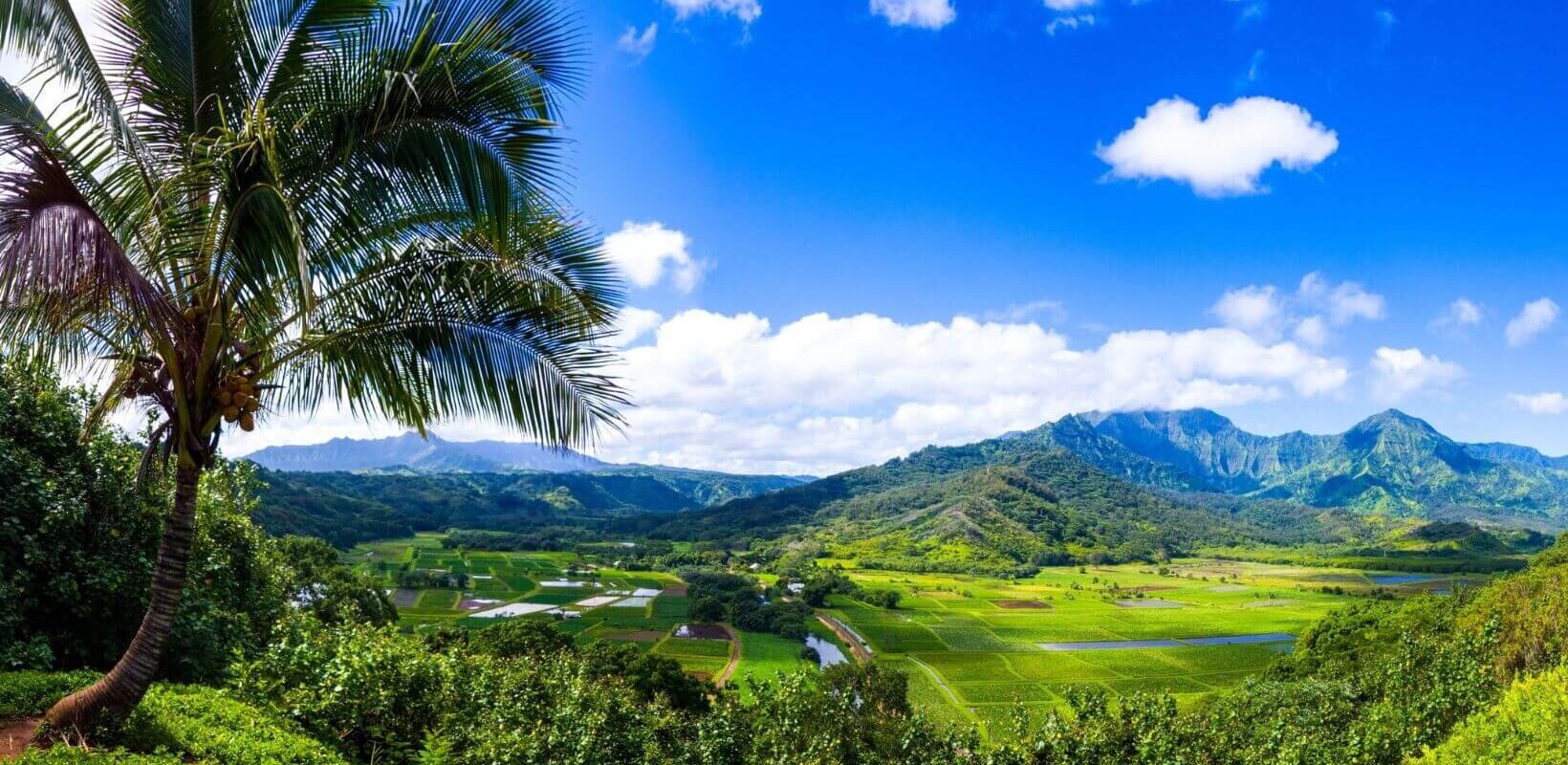 sell land to a developer in Hawaii