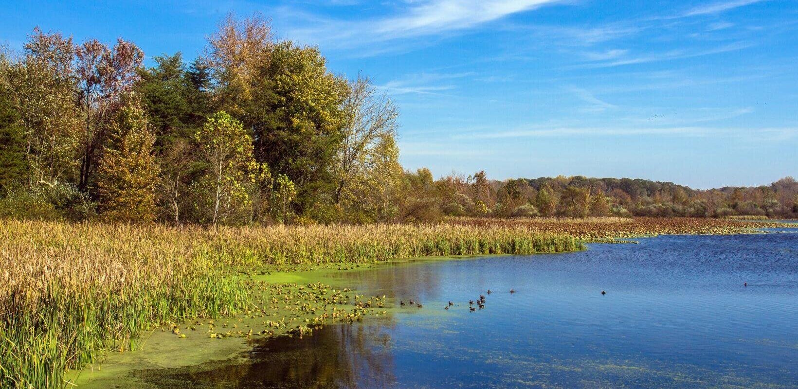sell land to a developer in Indiana