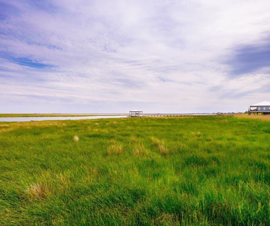 we buy land for development in Louisiana