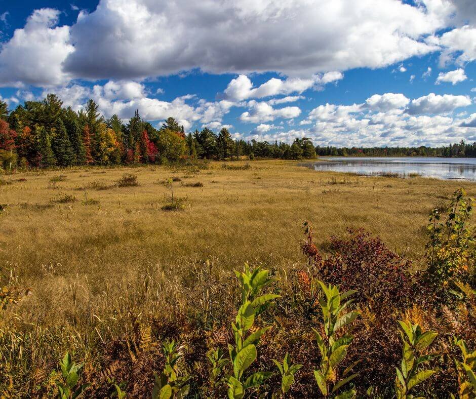 we buy land for development in Michigan