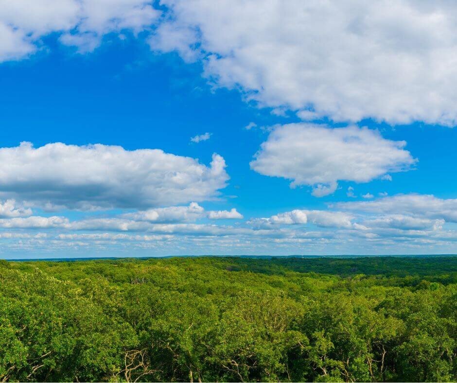 sell land to a developer in Minnesota