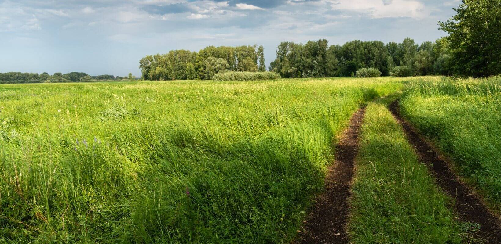 sell land to a developer in Mississippi