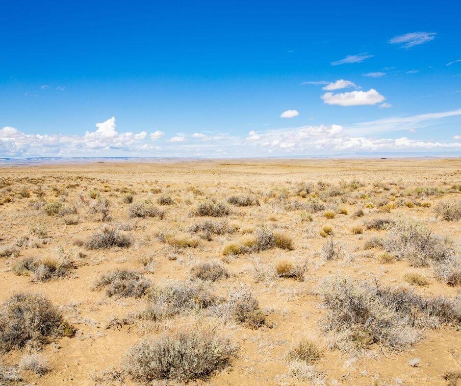 sell land to a developer in New Mexico