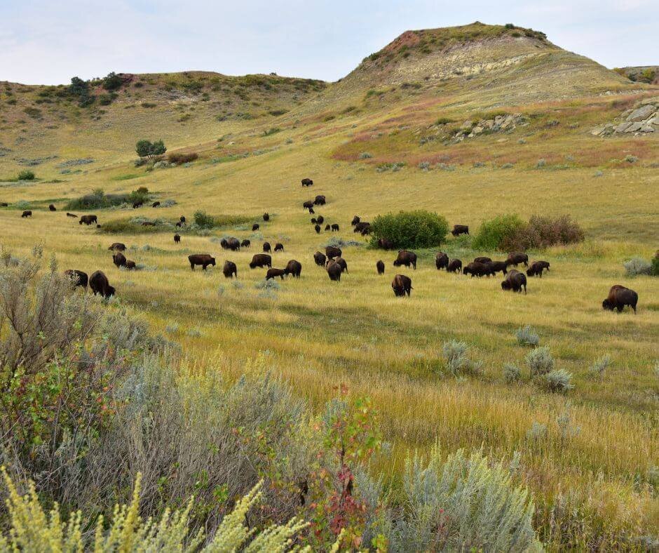 sell land to a developer in North Dakota