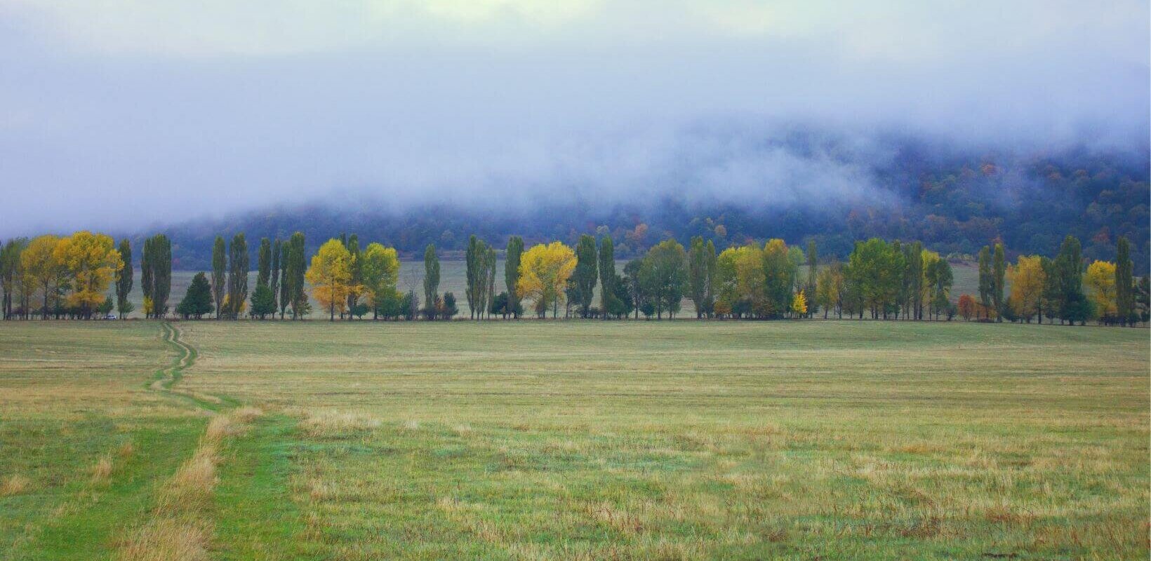 sell land to a developer in West Virginia