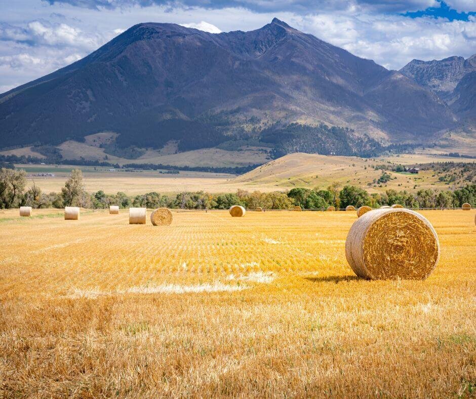 we buy land for development in Wyoming