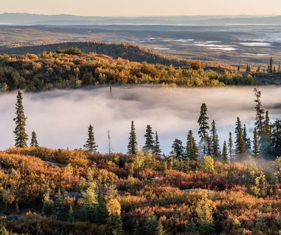we buy land for development in Alaska
