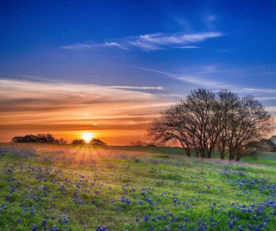 texas land developers