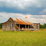 selling abandoned property in Punta Gorda Florida