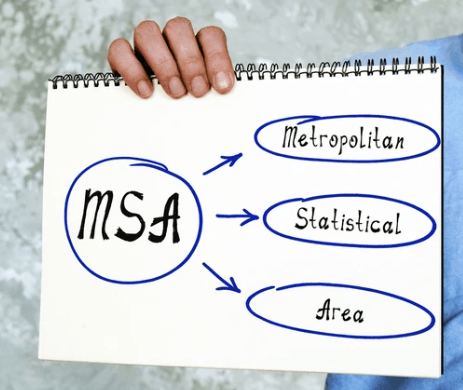 MSA meaning