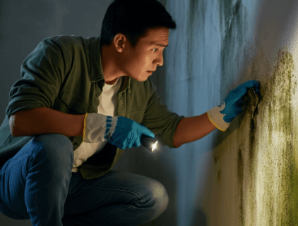 finding mold in florida homes