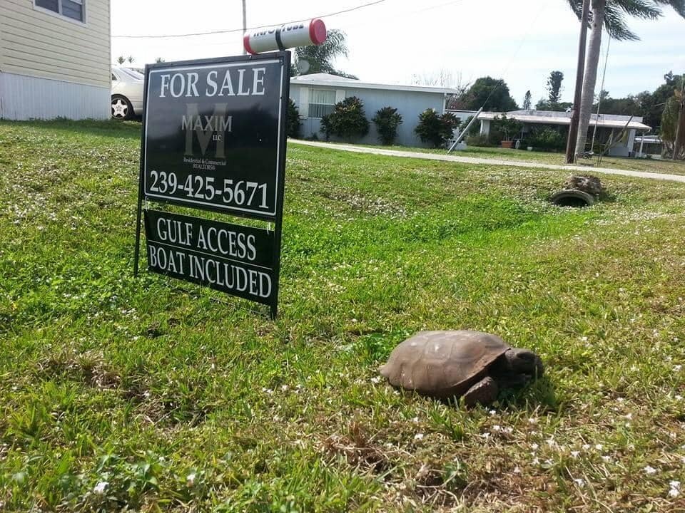 potential cost you may face when selling your house