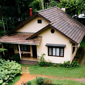 Selling a House That Requires Repairs Harlingen