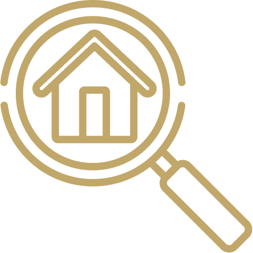 Search Icon