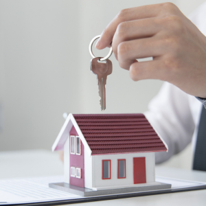 Selling to Developers in Texas Texas