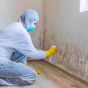 Selling a Home with Mold Issues Texas