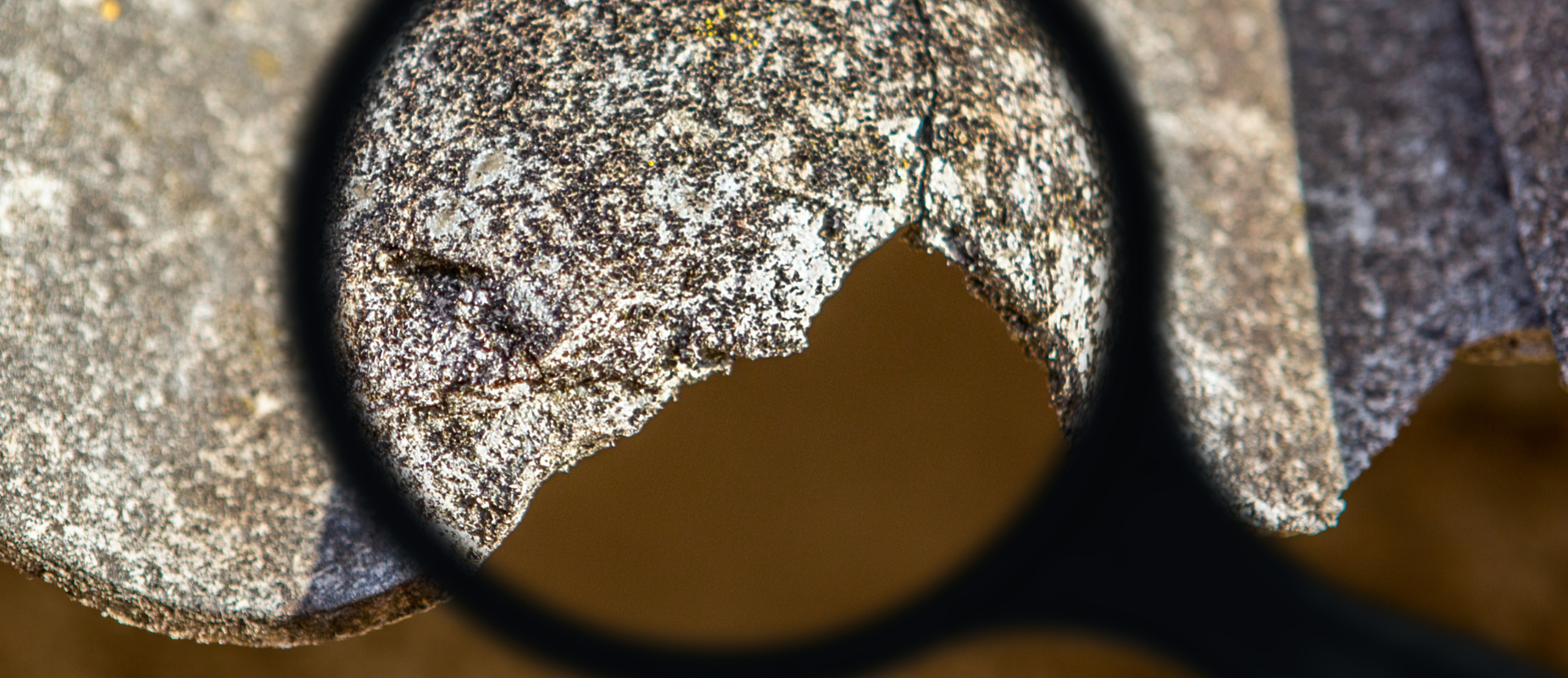 Can You Sell a House With Asbestos In Fort Worth