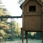 Great Things to Do with Kids Weatherford