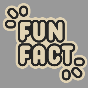 Interesting Facts Weatherford