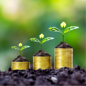 What tax obligations arise when selling a home in North Carolina