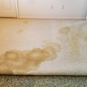 Property Damage by Tenant In Raleigh