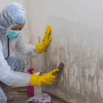Sell House With Mold in North Carolina