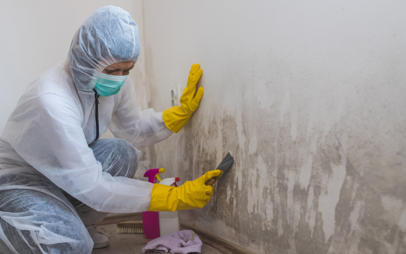 Sell House With Mold in North Carolina