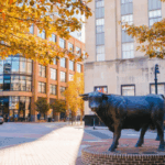 Amazing Facts Durham 