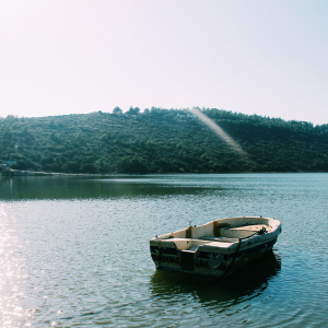 Area Neighborhood Map Charlotte