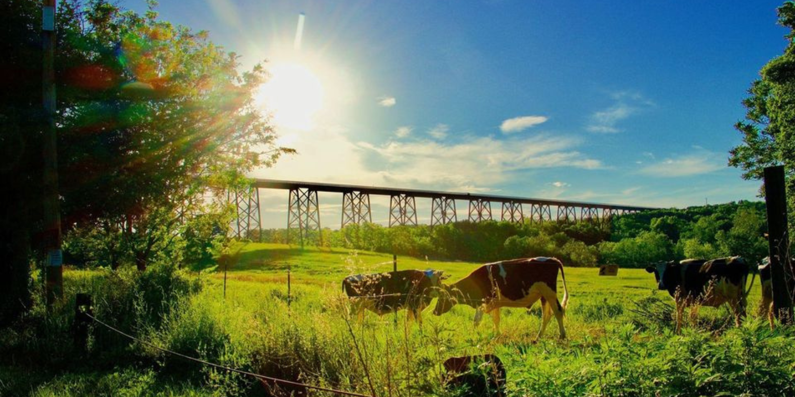 Sell my house fast in Cornwall, NY — Sell Now Homebuyers, cash home buyers serving Orange County