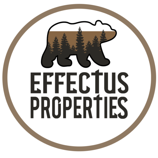 Effectus Properties logo