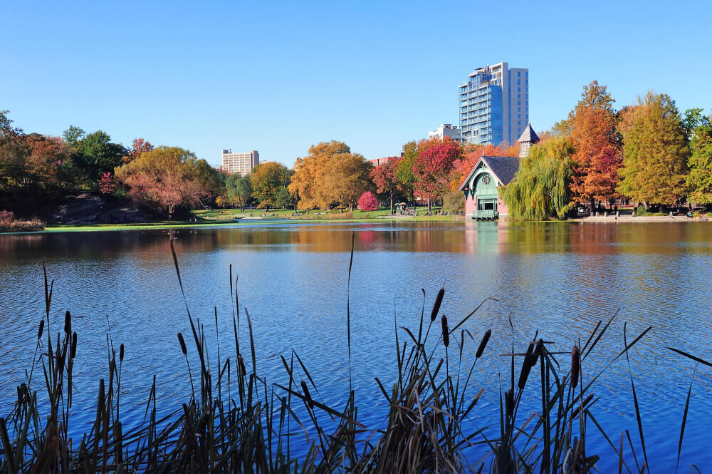 Scenic view of a cozy home in New Hampshire, showcasing our fast home buying services