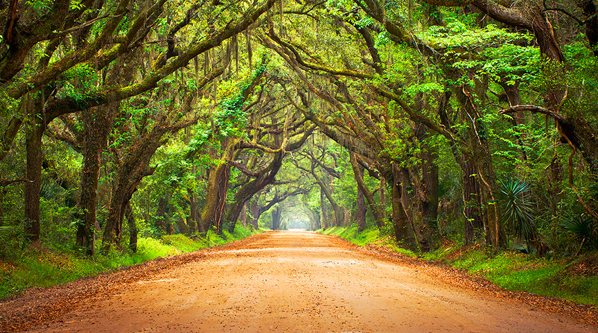 Who buys land in NC