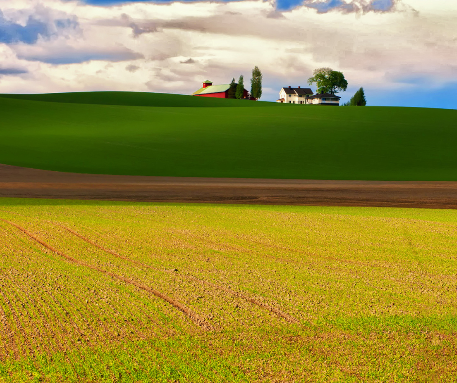 How much is my land worth in SC