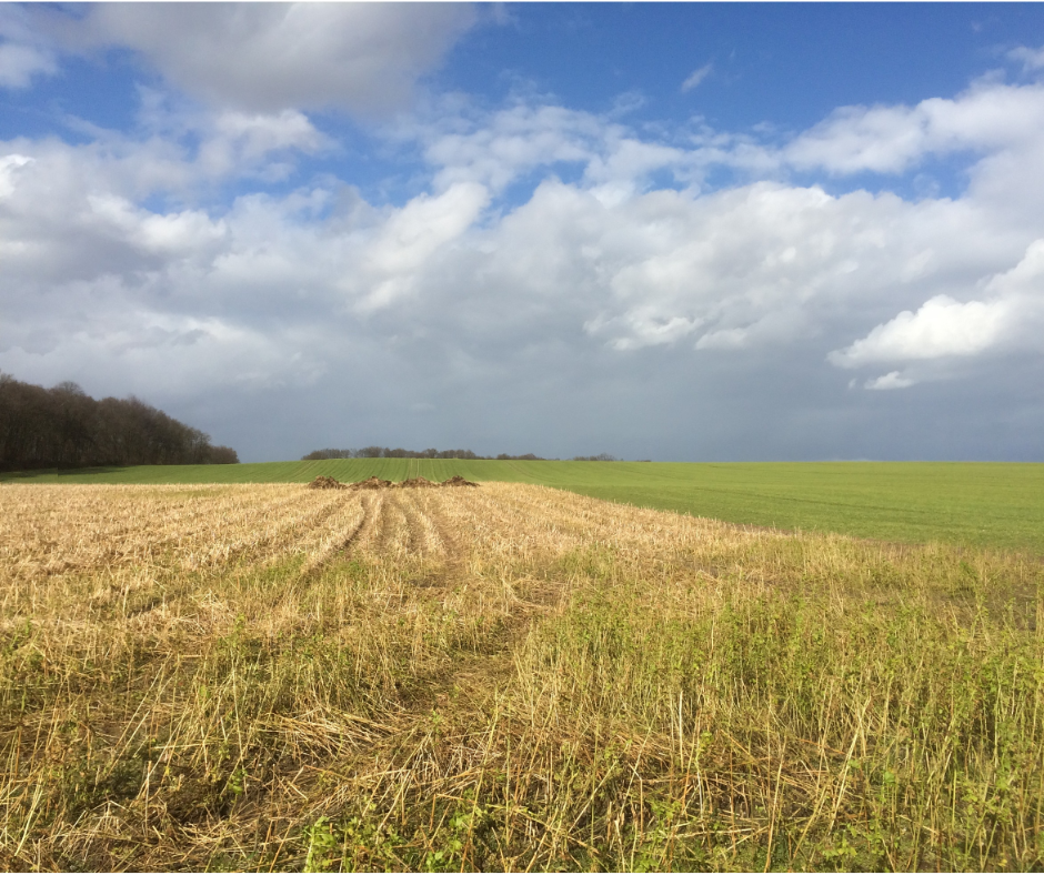 How much can i sell my land for in SC