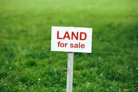 How can i sell my land in Ridgeville SC
