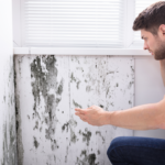 Selling a House with mold