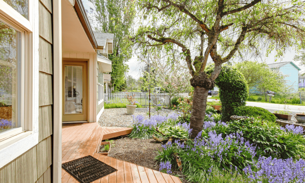 Curb Appeal
