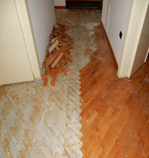 repairs needed from squatters in Texas