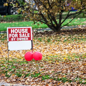 Can I Sell A House Without A Realtor In Texas 