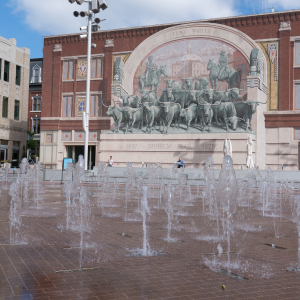 Curious Facts in Fort Worth