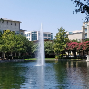 Great Activities for Kids In Plano