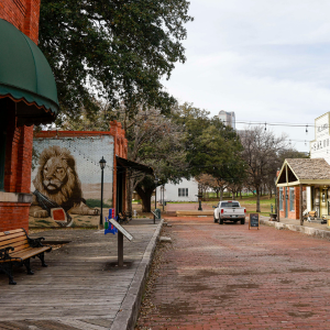 Best Ways to Enjoy With Kids In Dallas