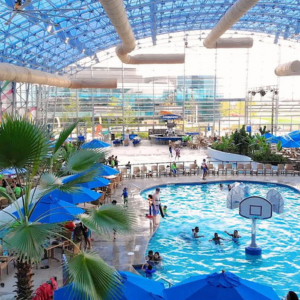 Discover the Best Kids' Activities In Dallas
