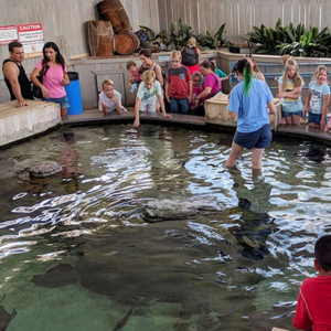 Exciting Things for Kids to See and Do In Dallas