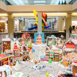 Kid-Friendly Adventures In Dallas