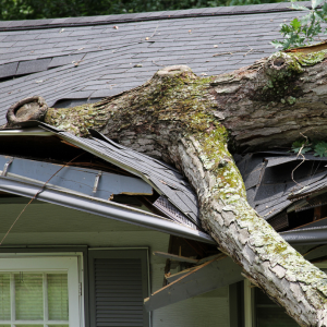 Storm-Damaged_ Sell Now Texas