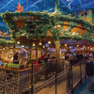 The Best Places for Kids to Enjoy In Dallas