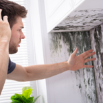 Property with Mold for Sale in Texas