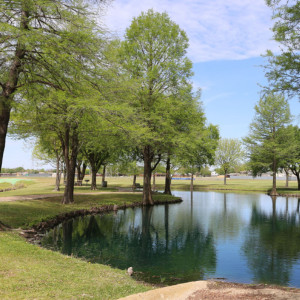 Fun and Surprising Facts About In Mesquite